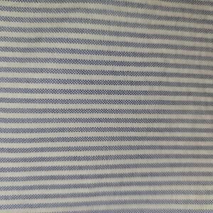 Ralph Lauren Classic Fit Blue and White Striped Button-Down Shirt XL